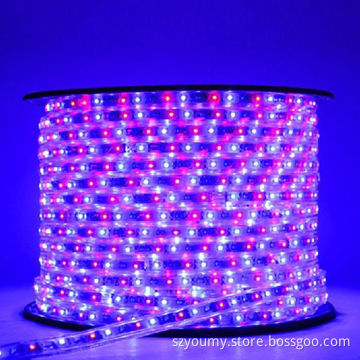 220V High Brighten RGB LED Stripe Lamp, 60LED Waterproof IP65